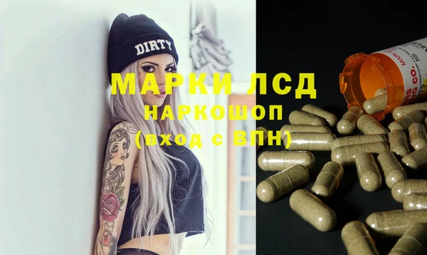 индика Алзамай